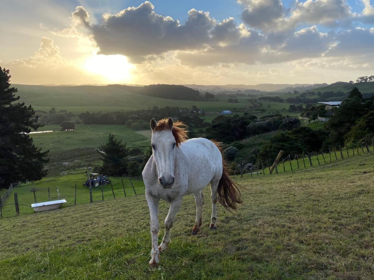Pukeatua Farmstay Waimauku Exterior foto