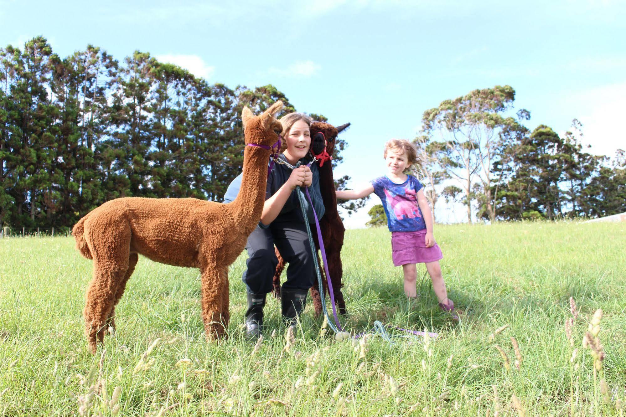 Pukeatua Farmstay Waimauku Exterior foto